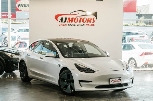 2021 Tesla Model 3 Hatchback Standard Range Plus image