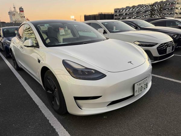 2021 Tesla Model 3 STANDARD RANGE PLUS image