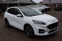 Image for 2023 Ford Escape ST-Line X PHEV