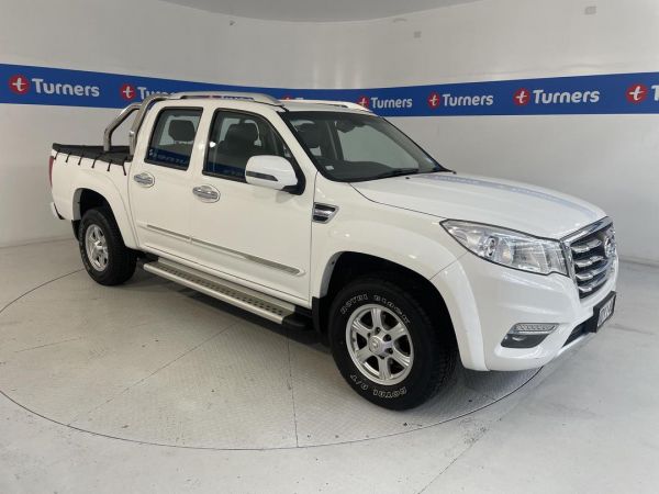 2020 Great Wall Steed Ute image