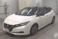 Image for 2021 Nissan Leaf Hatchback e+ Urban Chrome (62kWh)