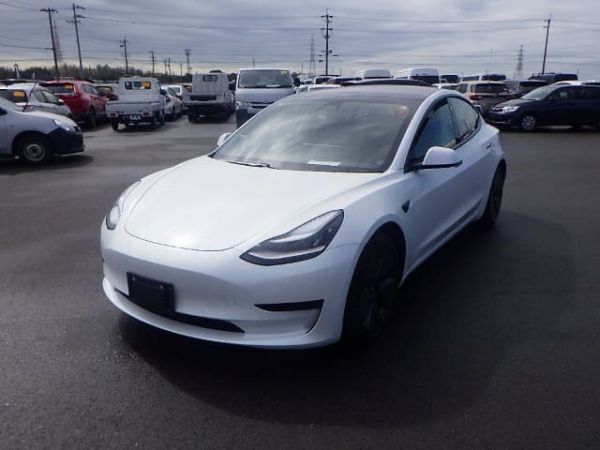 2020 Tesla Model 3 Sedan Standard Range Plus image