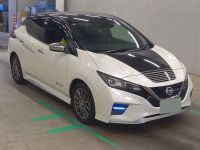 Image for 2020 Nissan Leaf Hatchback e+ Autech (62kWh)