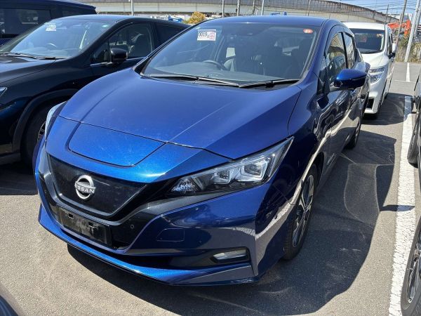 2021 Nissan Leaf Hatchback e+ G (62kWh) image