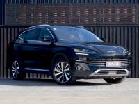 Image for 2025 BYD Sealion 6 Premium AWD